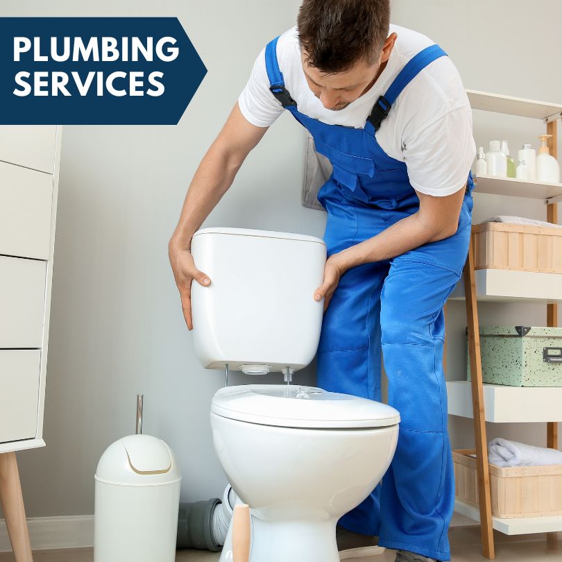 Plumbing Company in Gold Canyon, AZ